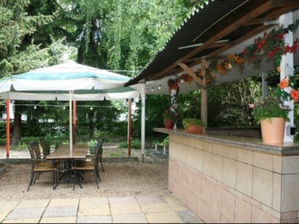 Foto: Bruchwiese